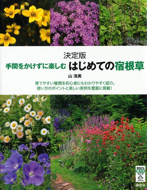 『葉っぱはなぜこんな形なのか？ 植物の生きる戦略と森の生態系を考える』（林 将之）｜講談社book倶楽部