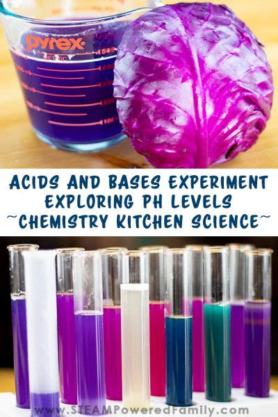 Acids And Bases Experiment Exploring Ph Levels Chemistry Kitchen Science