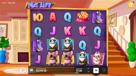 Pug Life Slot Good And Bad Version Demo Play And Rtp