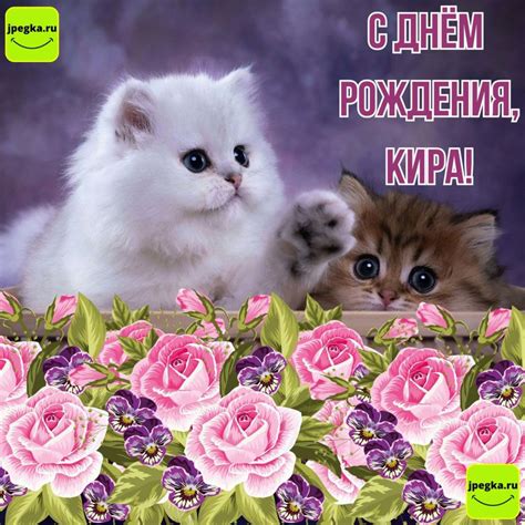Открытки «С Днём Рождения, Кира!»: 50 картинок
