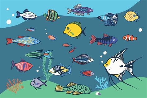 Premium Vector Tropical Fish Vector Illustrations Set