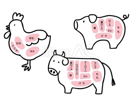 鶏肉、豚肉、牛肉の部位 イラストセットイラスト No 24123009｜無料イラスト・フリー素材なら「イラストac」