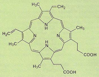 Porphyrins