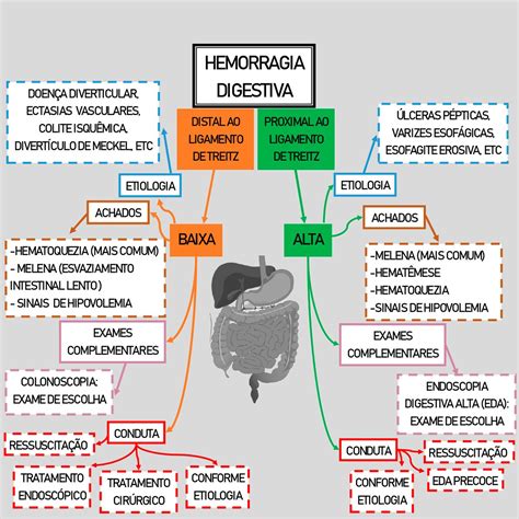 Mapa Mental Hemorragia Digestiva Sanar Medicina Hot Sex Picture