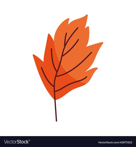 Orange autumn leaf Royalty Free Vector Image - VectorStock