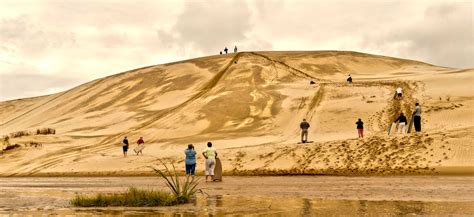 Cape Reinga Te Paki Sand Dunes Best Bits