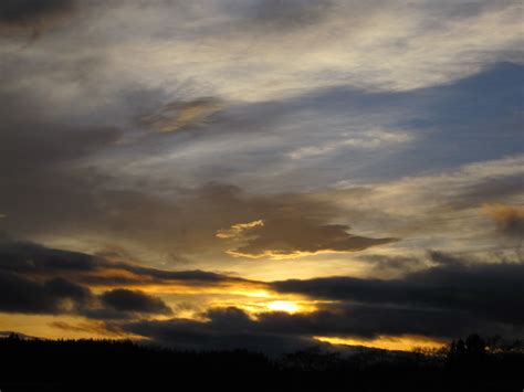 Colourful Winter Skies - CC Plants