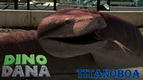 Dino Dana Titanoboa - YouTube