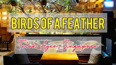 Birds Of A Feather Telok Ayer Singapore Youtube