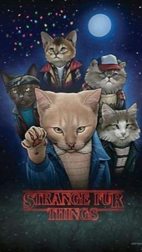 Pin Su Stranger Things Immagini Di Gatti Divertenti Immagini Con