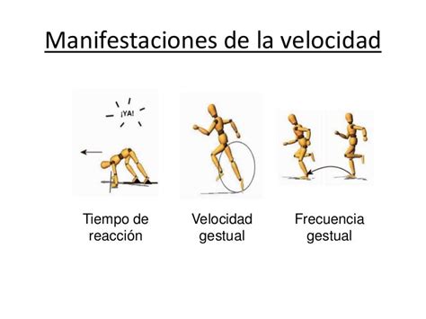 Clasificación De La Velocidad