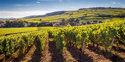 Burgund: Individuell & ohne Gepäck wandern wie Gott in Frankreich ...