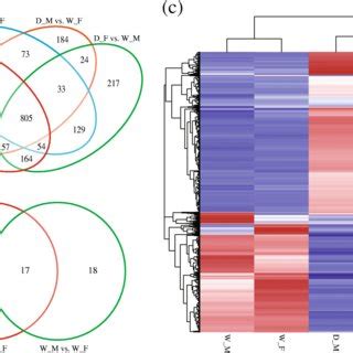 Olfactory Related Genes Showed Differential Expressions In The Same Sex