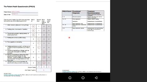 NMC OSCE APIE PHQ9 DEPRESSION ASSESSMENT NURSING PROBLEM FOR PLANNING