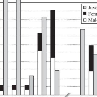 Development of breeding population of Triturus alpestris at pond 1 ...