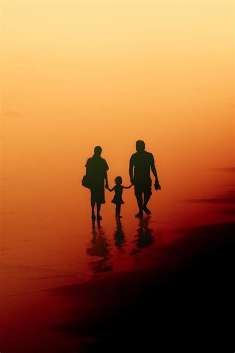 Silhouette of Family on Beach at Sunset · Free Stock Photo