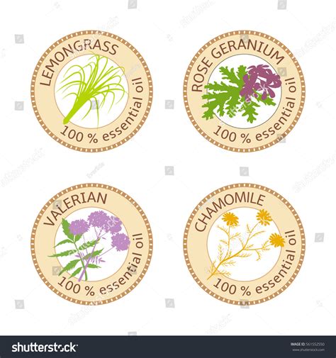 Set 100 Percent Essential Oils Labels Stock Vector 561552550 Shutterstock