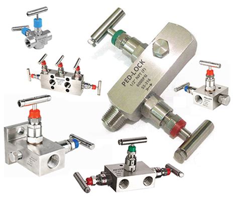 manifold valve     manifolds valve supplier manufacturer india