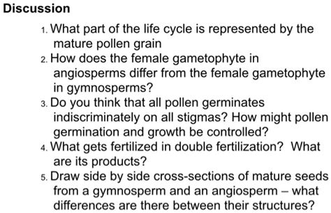 Discussion What Part Of The Life Cycle Is Represented By The Mature Pollen Grain How Does