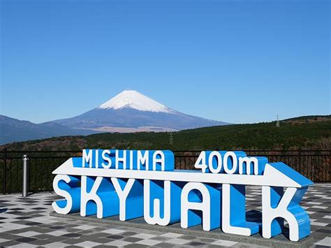 静岡きらめく静岡旅幻想的な御殿場時之栖ひかりのすみかイルミネーション桜海老釜まぶし御膳の昼食みかん狩り食べ放題富士を望む開放