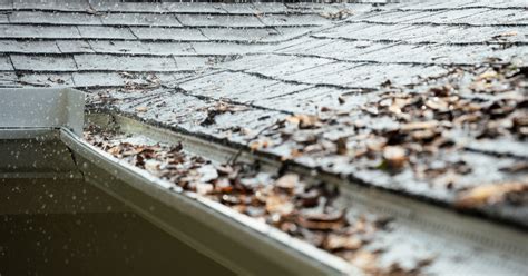 Gutter Cleaning And Maintenance Crucial Steps For Homeowners In