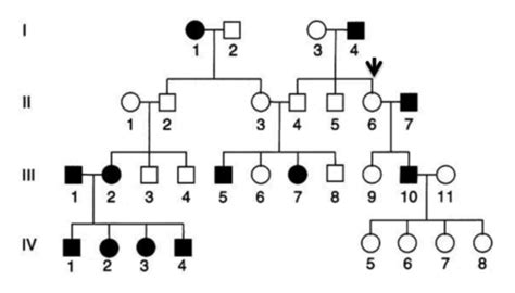 Biology Exam 2 Multiple Choice Flashcards Quizlet