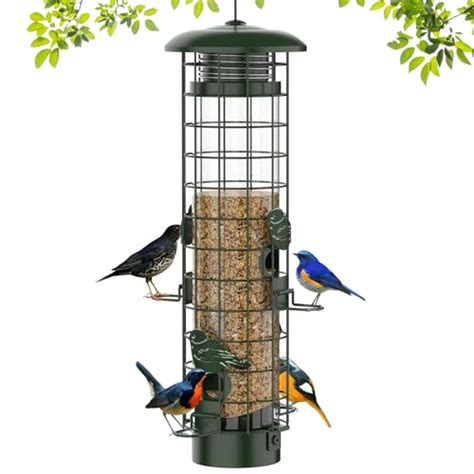 Find The Best Squirrel Proof Bird Feeders Reviews & Comparison - Katynel