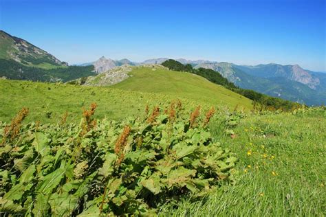 Prijevor Plateau Rafting Canyoning Adventure Tours Bosnia Visit