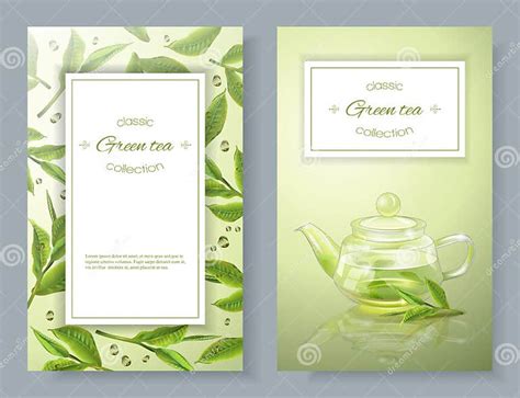 Green Tea Banners Stock Vector Illustration Of Shiny 84624566