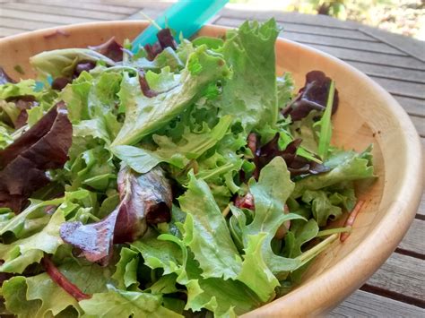 Salada De Alface Iguaria Receita E Culin Ria