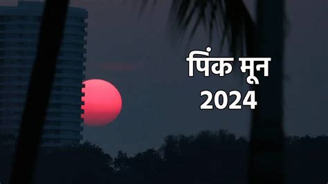 Pink Moon 2024 Date Timings Pink Full Moon April 2024 Date And Time In India What Is Pink