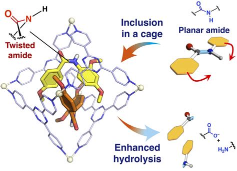 Molecular Cage Image Eurekalert Science News Releases