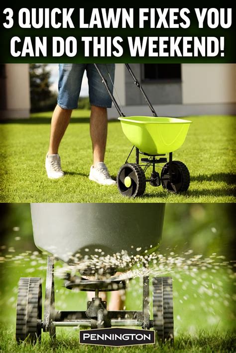 Weekend Diy Transform Your Lawn With These Quick And Easy Repair Projects