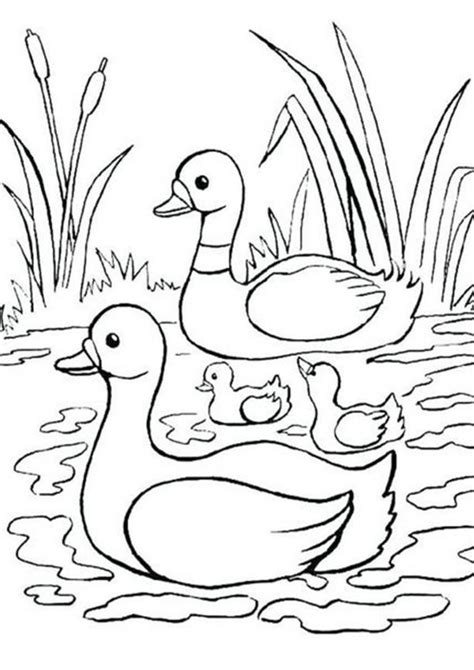 Free & Easy To Print Duck Coloring Pages - Tulamama