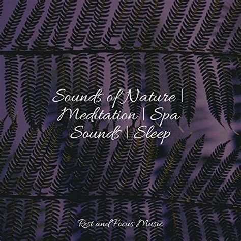 Play Sounds Of Nature Meditation Spa Sounds Sleep By Ambiente