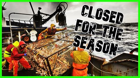 Alaska Cancels Snow Crab Season As 1 Billion Crabs Vanish The Kyle