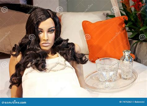 Brunette Mannequin Stock Photo Image Of Brunette Doll 7475262