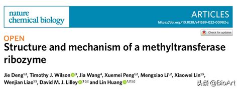 Huang Lin Et Al Reveal The Three Dimensional Structure And Catalytic