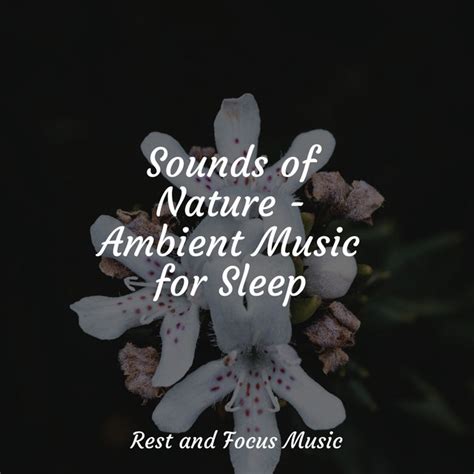 Sounds Of Nature Ambient Music For Sleep Album By Hipnose Natureza