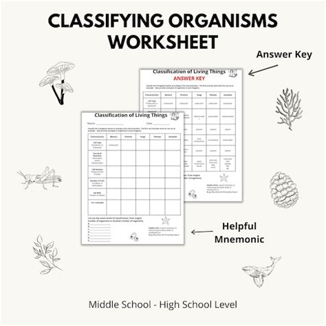 Classifying Organisms Worksheet Etsy UK Worksheets Library