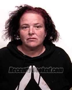 Recent Booking Mugshot For ERIKA JEAN ORTIZ In Suwannee County Florida