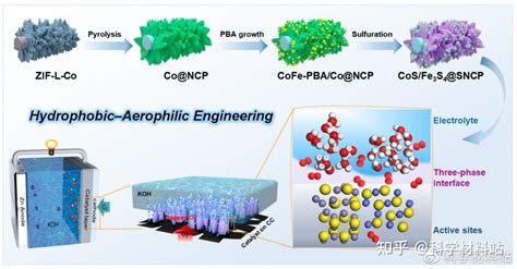 浙师大胡勇教授aem：设计疏水亲氧空气阴极促进锌空电池三相界面催化反应及传质过程 知乎