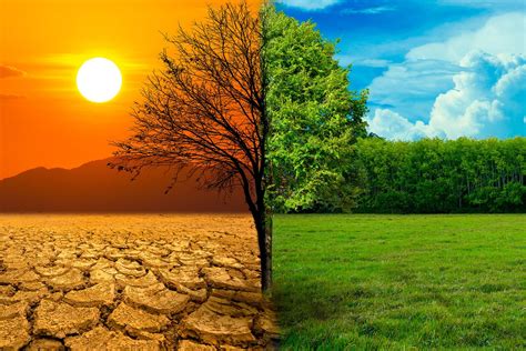 The Climate Promises Made at COP26 Matter 