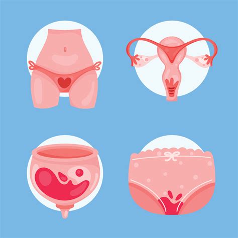 cuatro iconos del ciclo de la menstruación 11451144 Vector en Vecteezy