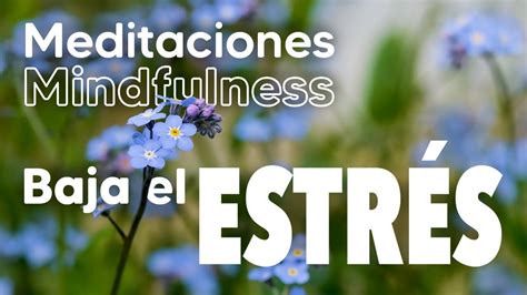 Meditaci N Mindfulness Evita Que El Estr S Te Consuma Youtube