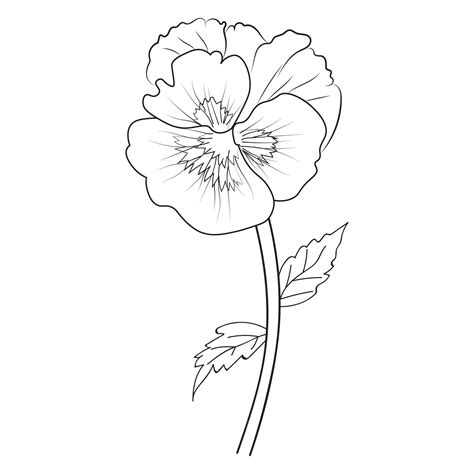 Premium Vector | A black and white drawing of a poppy.