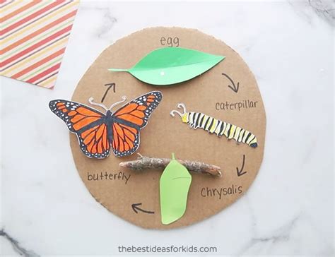 Butterfly Life Cycle Craft (with free template) - The Best Ideas for Kids