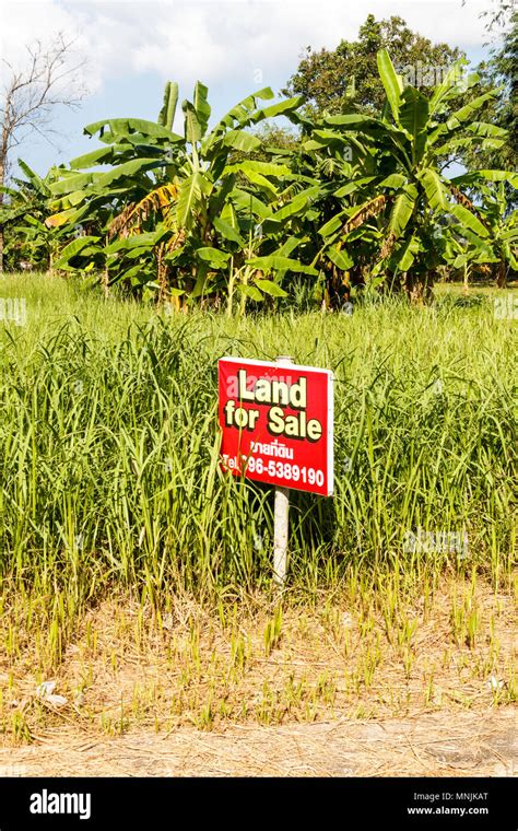 Land for sale sign, Phuket, Thailand Stock Photo - Alamy