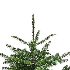 Amazon De Tannenbaum Nordmanntanne H 90 110 Cm Echt Premium Tanne