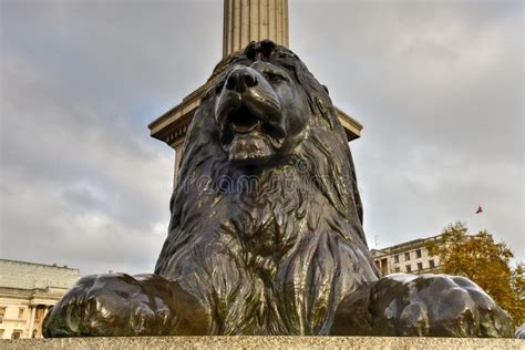 Lion Statue Trafalgar Square Londen Het Uk Redactionele Foto Image